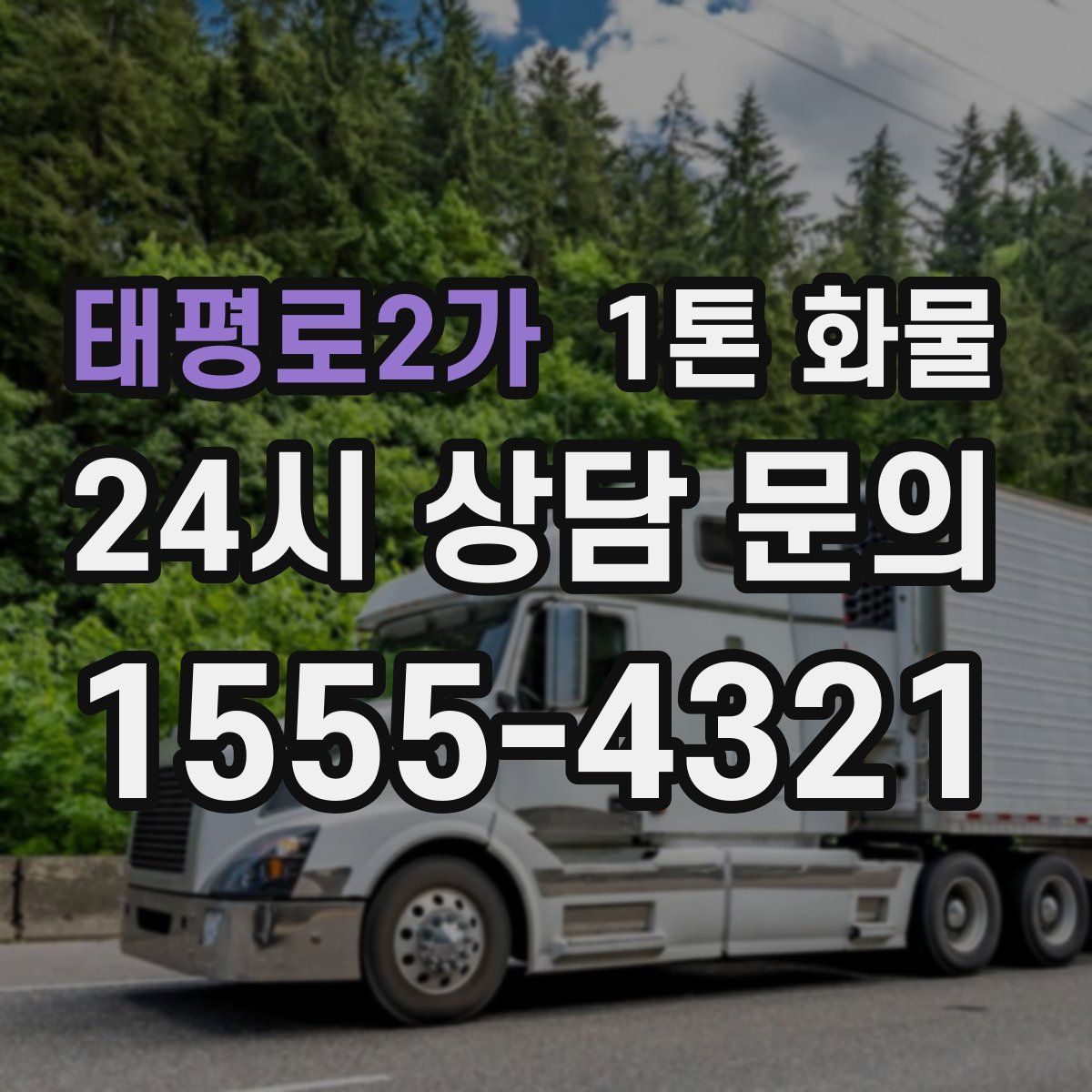 태평로2가 1톤 화물