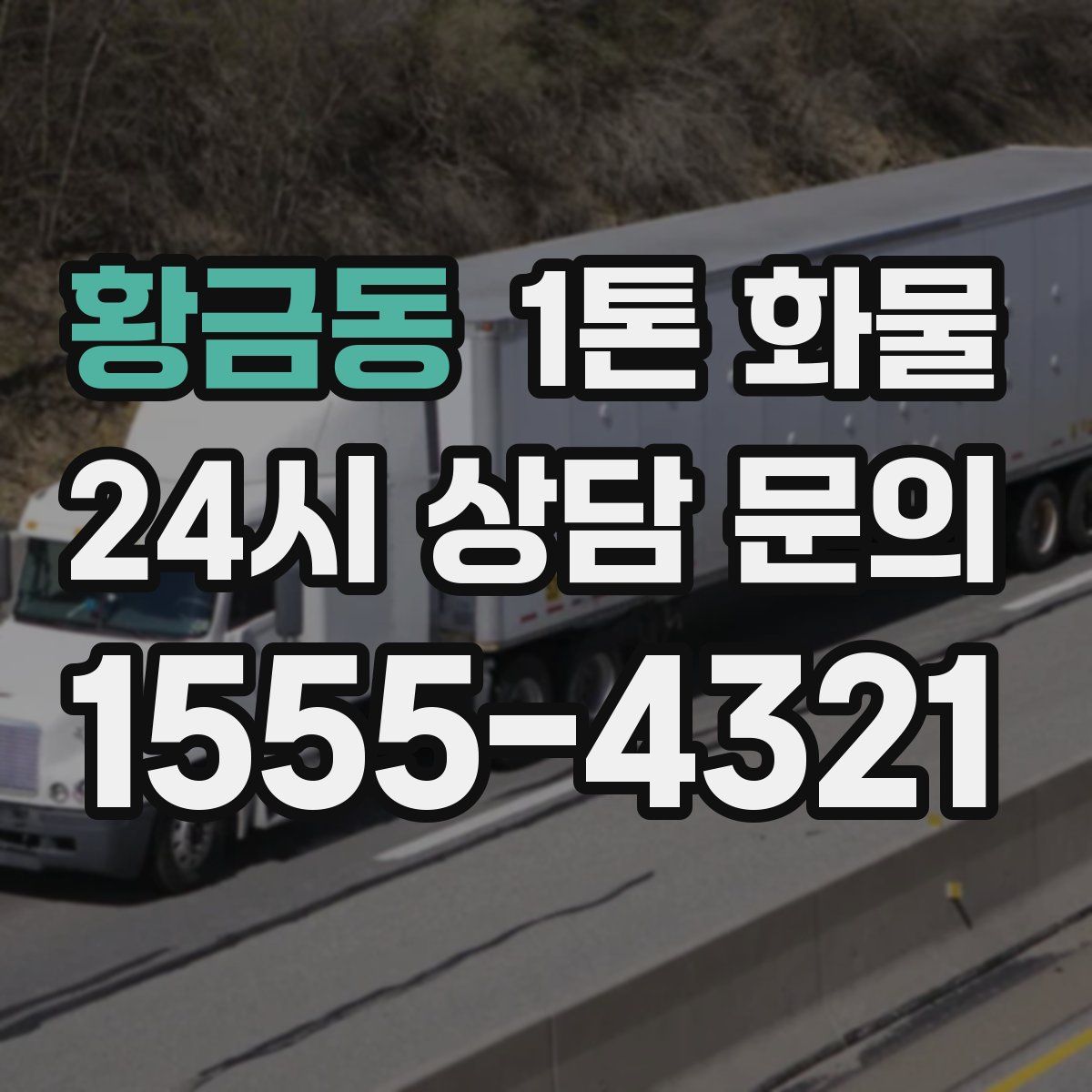 황금동 1톤 화물