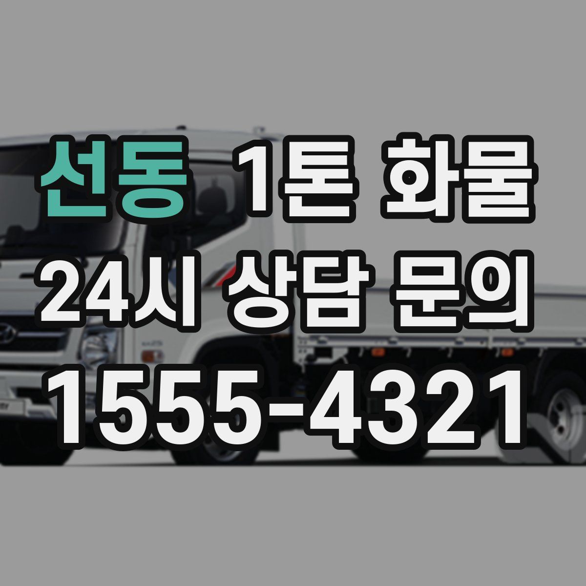 선동 1톤 화물
