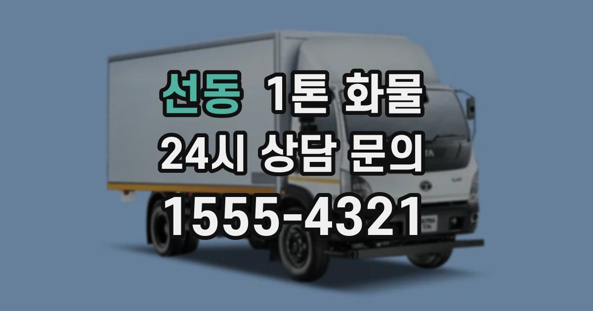 선동 1톤 화물