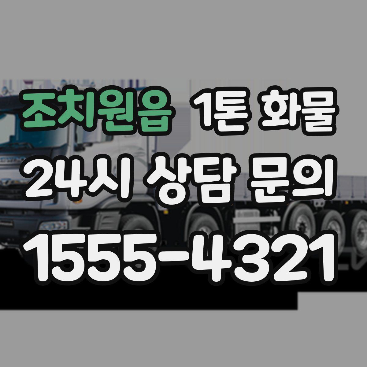조치원읍 1톤 화물