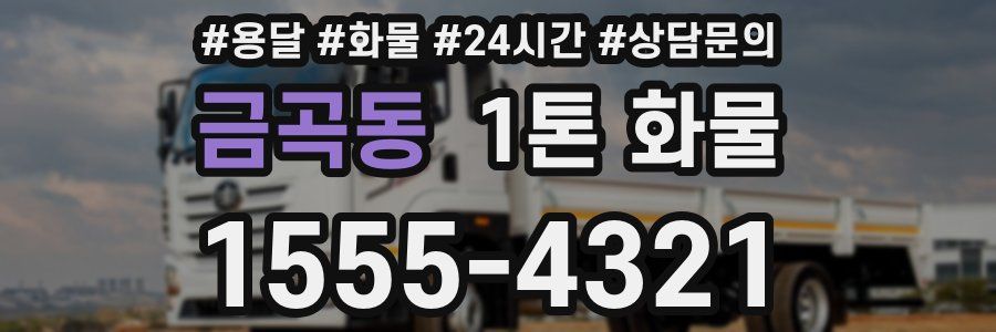 금곡동 1톤 화물
