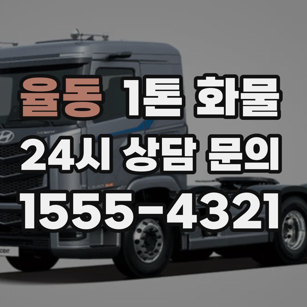 율동 1톤 화물