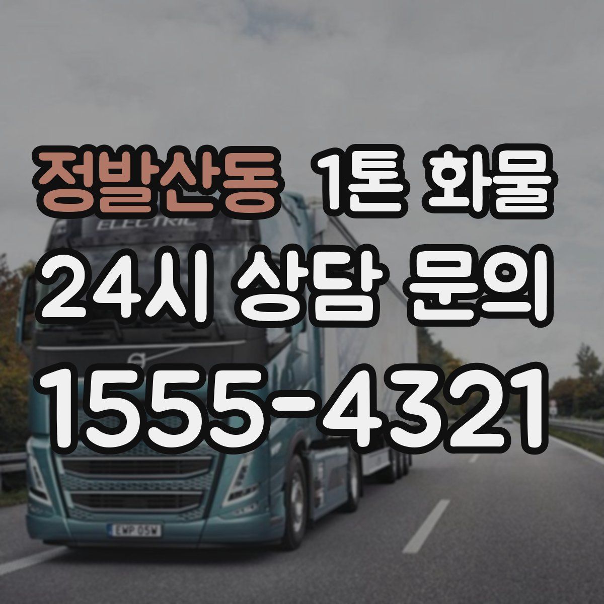 정발산동 1톤 화물