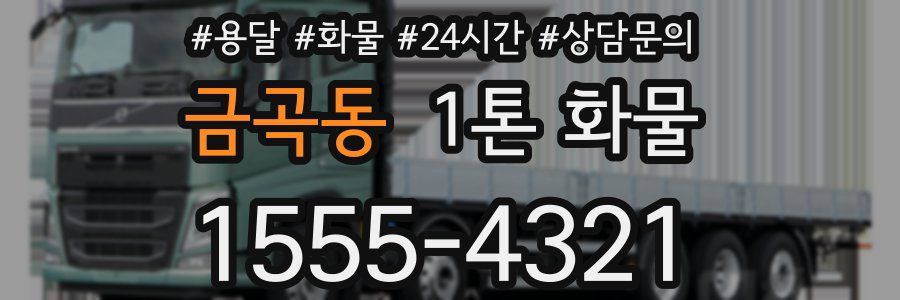 금곡동 1톤 화물