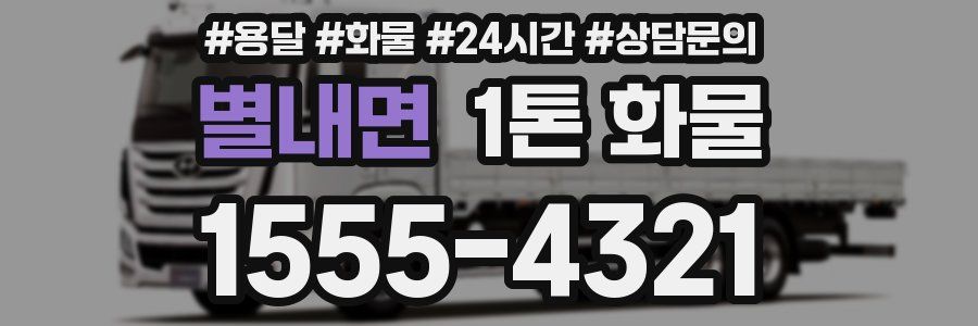 별내면 1톤 화물