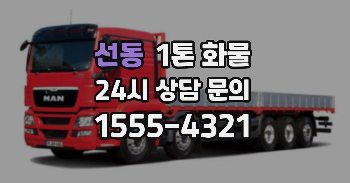 선동 1톤 화물