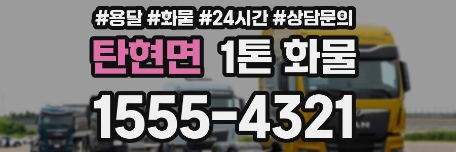 탄현면 1톤 화물