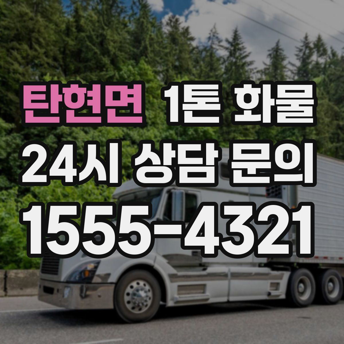 탄현면 1톤 화물