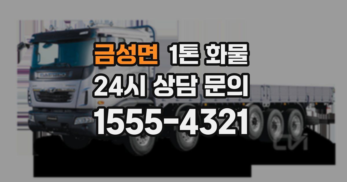 금성면 1톤 화물