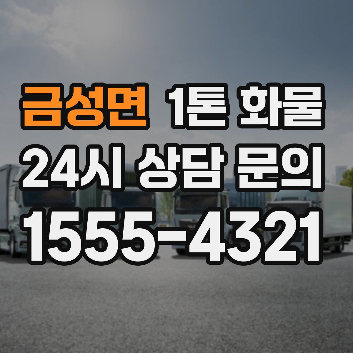 금성면 1톤 화물