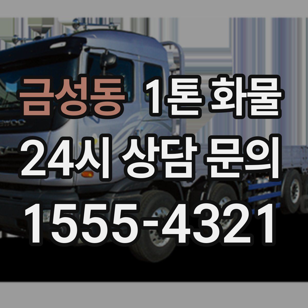 금성동 1톤 화물