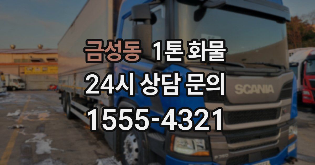 금성동 1톤 화물