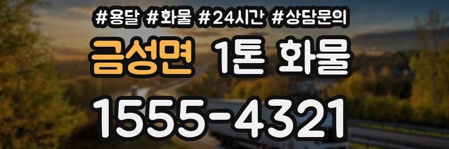 금성면 1톤 화물