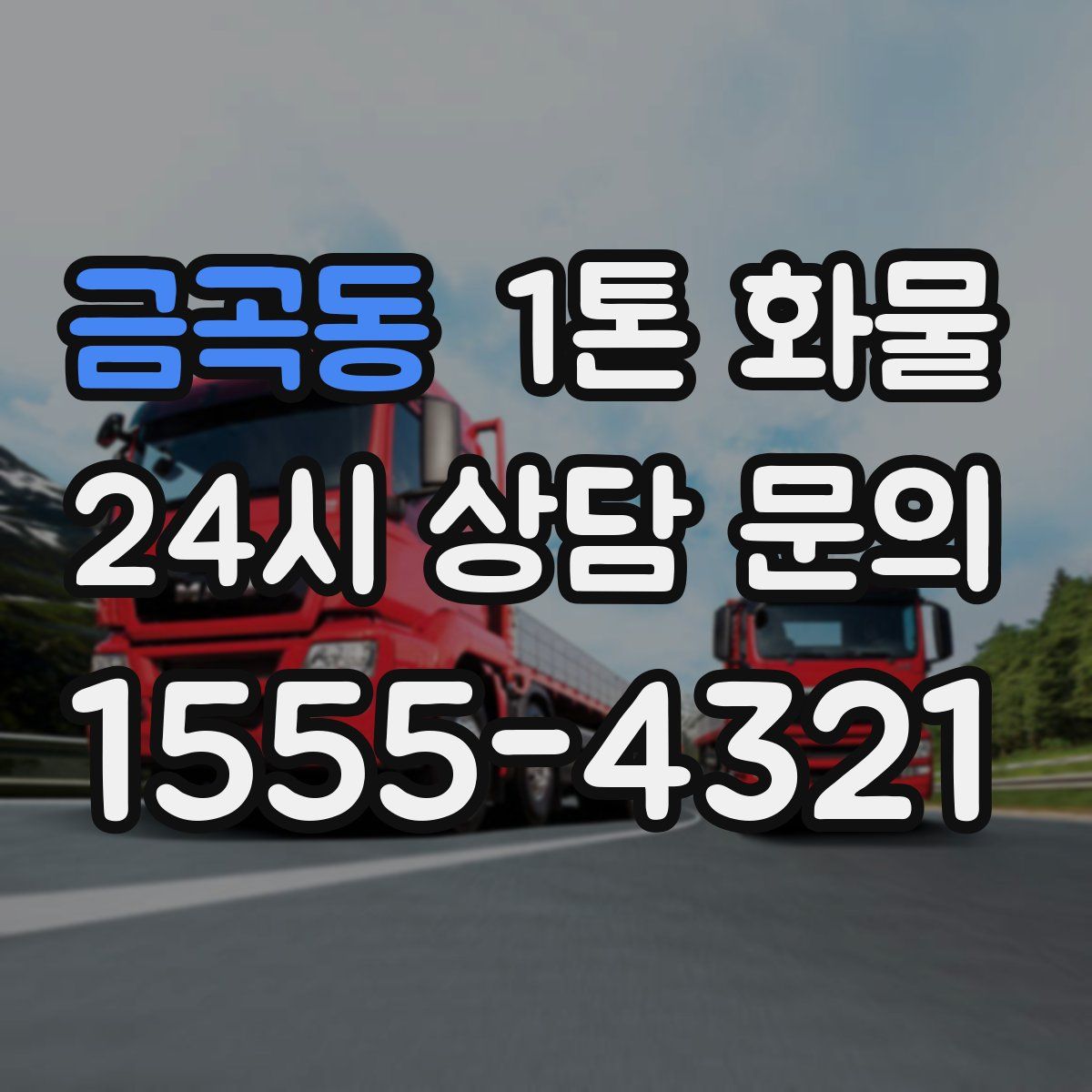 금곡동 1톤 화물