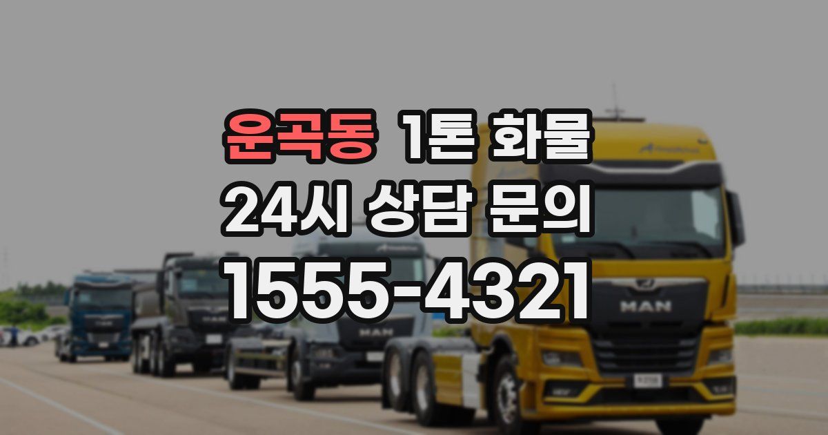 운곡동 1톤 화물