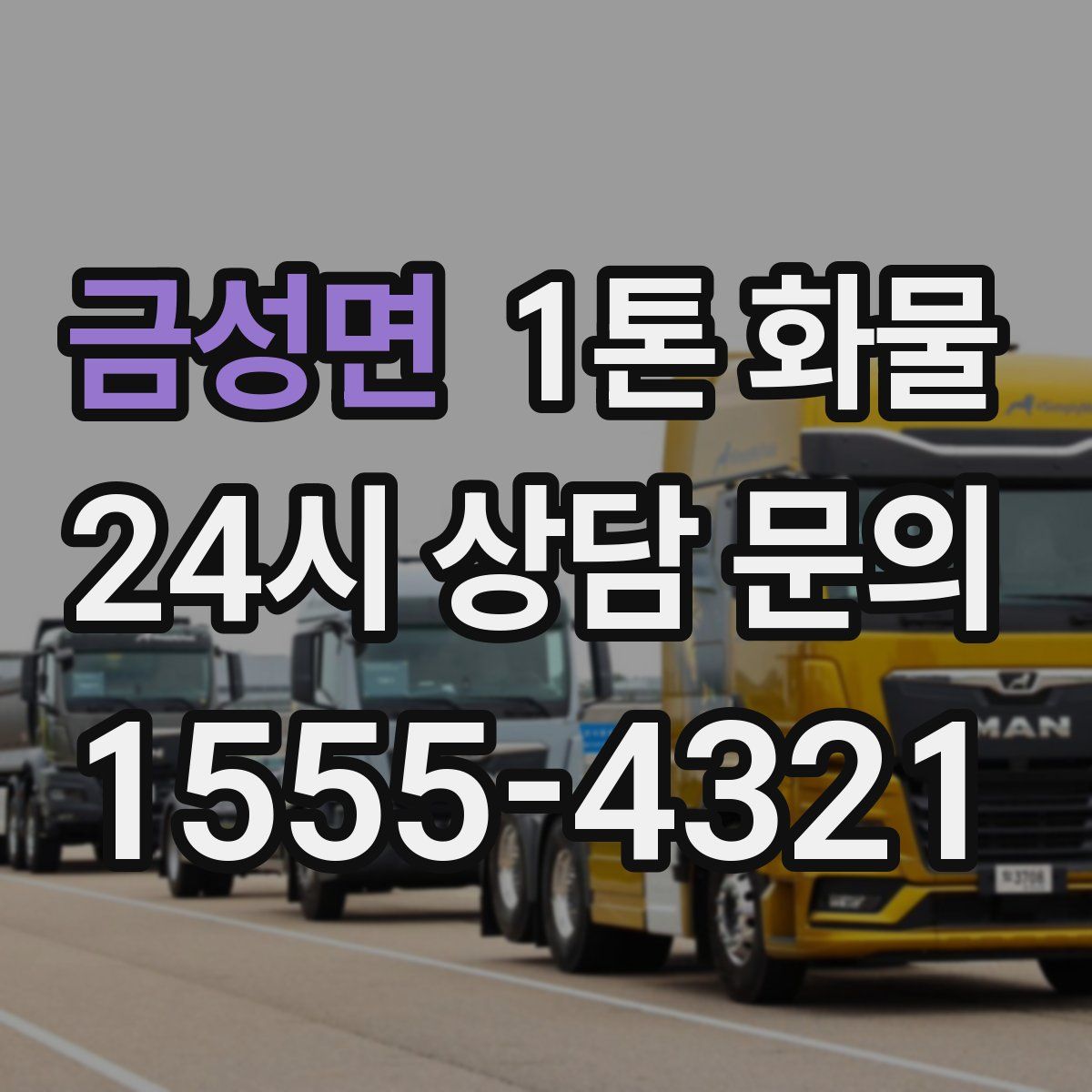 금성면 1톤 화물