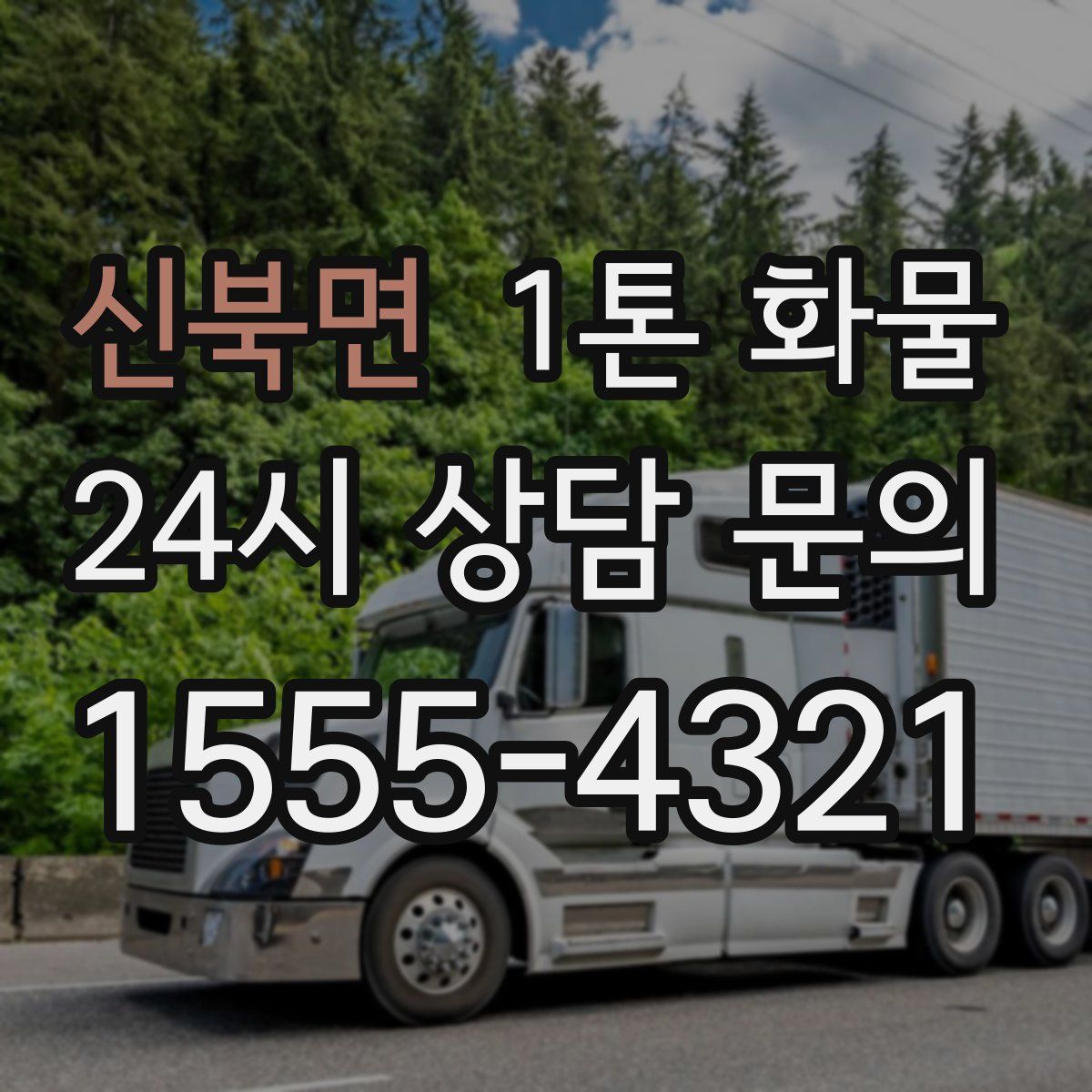 신북면 1톤 화물