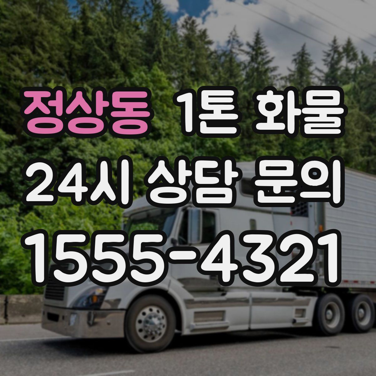 정상동 1톤 화물