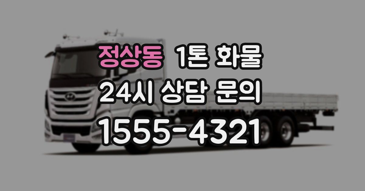정상동 1톤 화물