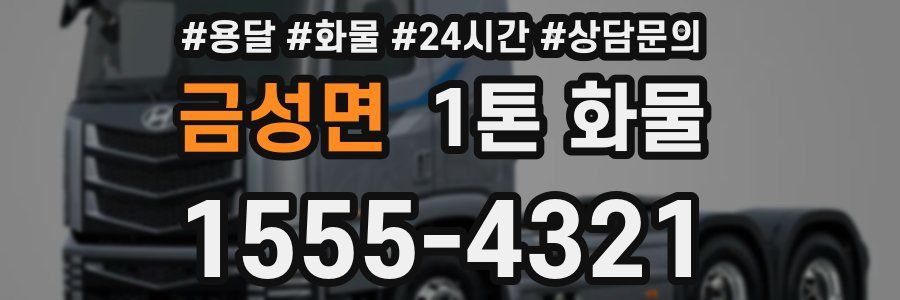 금성면 1톤 화물