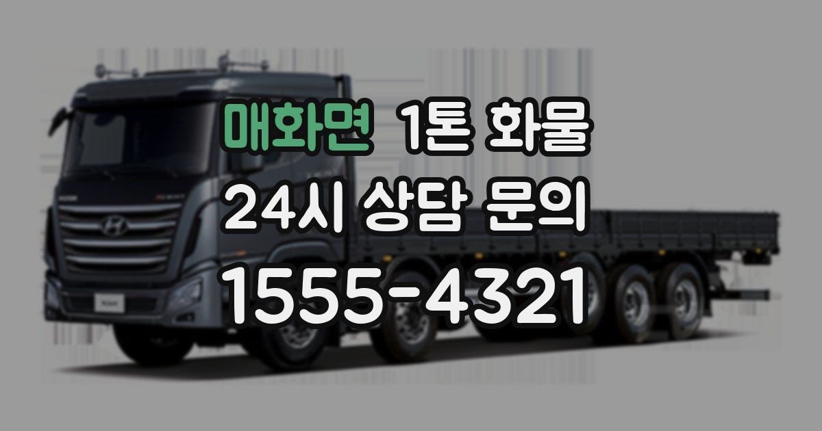 매화면 1톤 화물