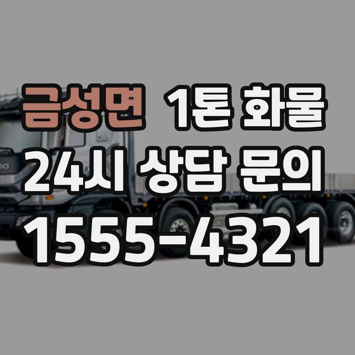 금성면 1톤 화물