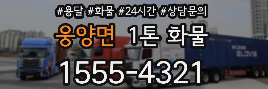 웅양면 1톤 화물