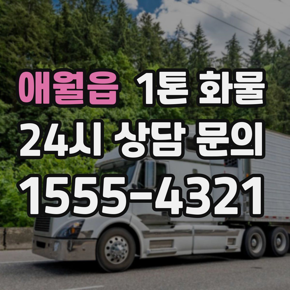 애월읍 1톤 화물