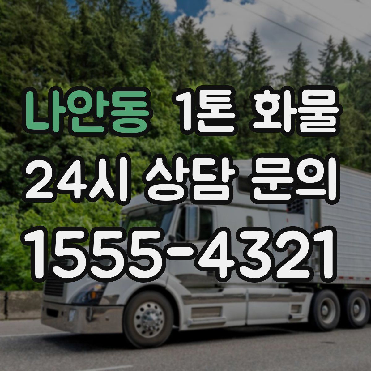 나안동 1톤 화물