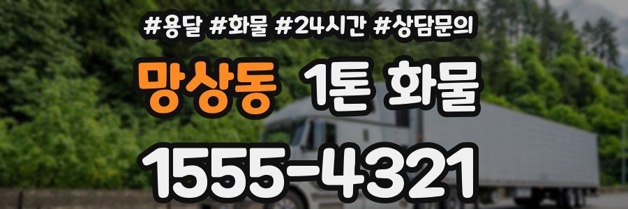 망상동 1톤 화물