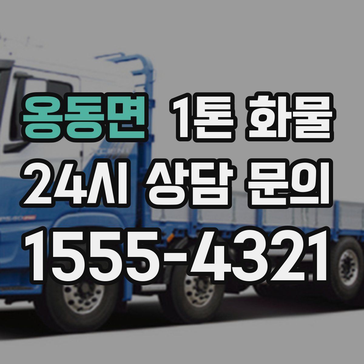 옹동면 1톤 화물