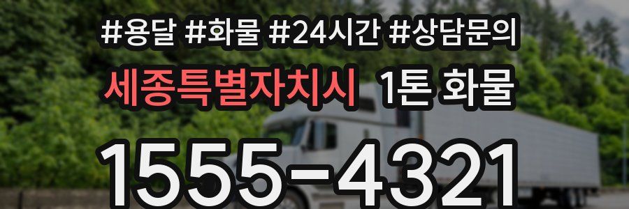 세종특별자치시 1톤 화물