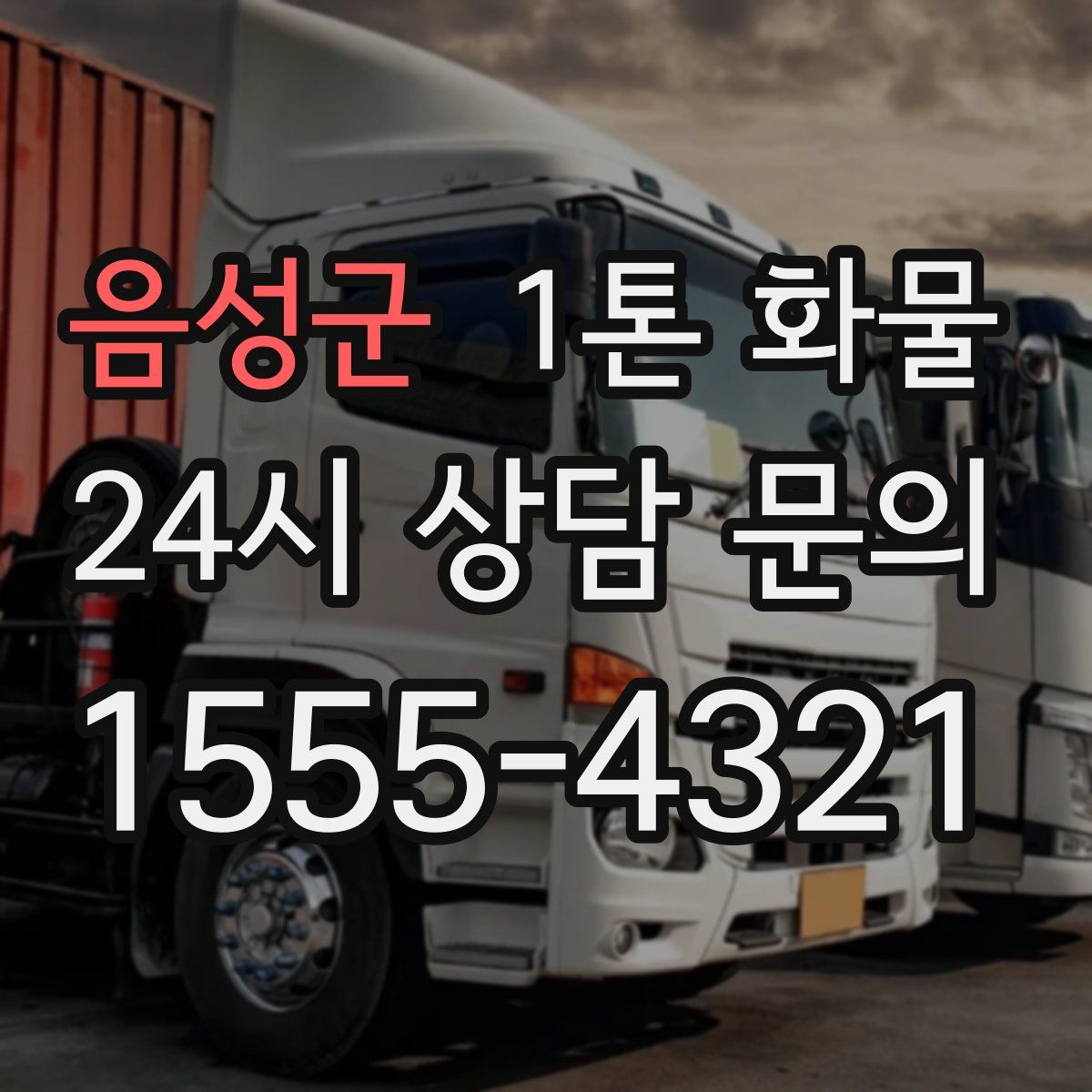 음성군 1톤 화물