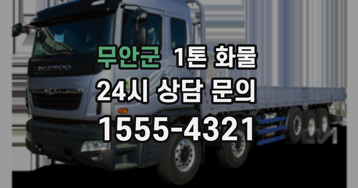 무안군 1톤 화물