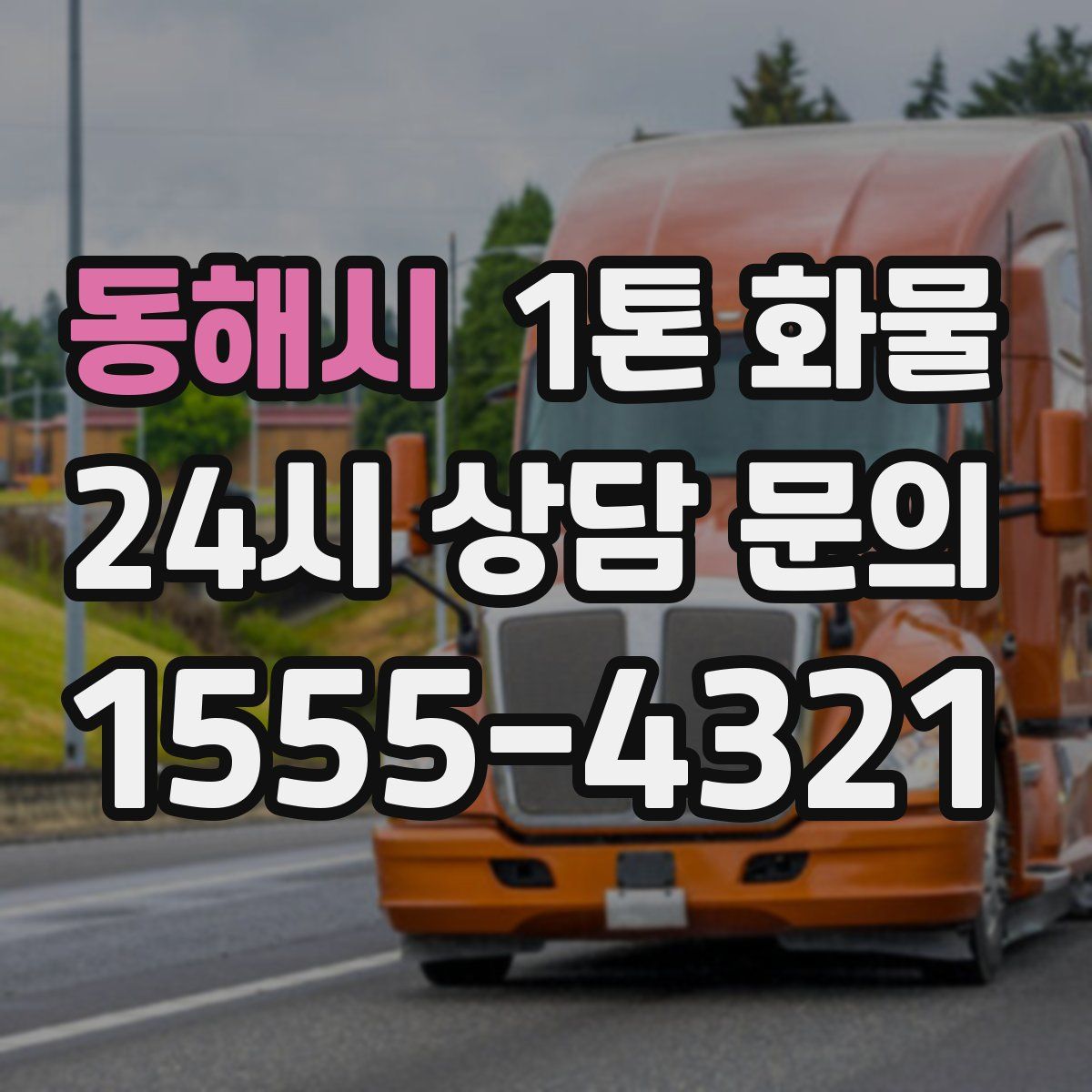 동해시 1톤 화물