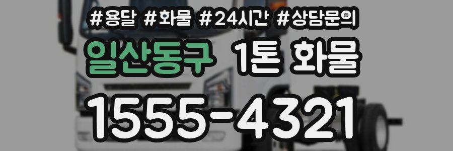 일산동구 1톤 화물