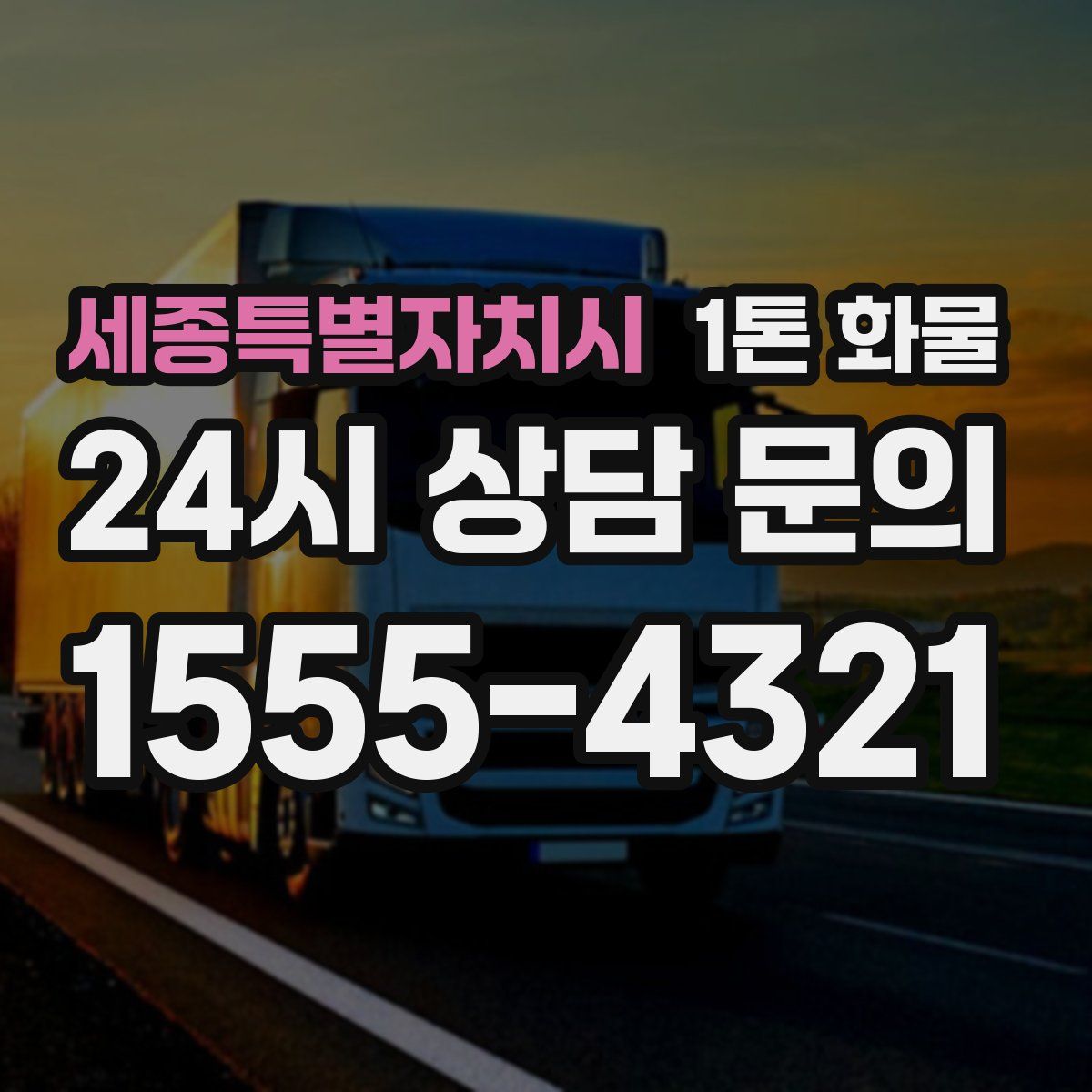 세종특별자치시 1톤 화물