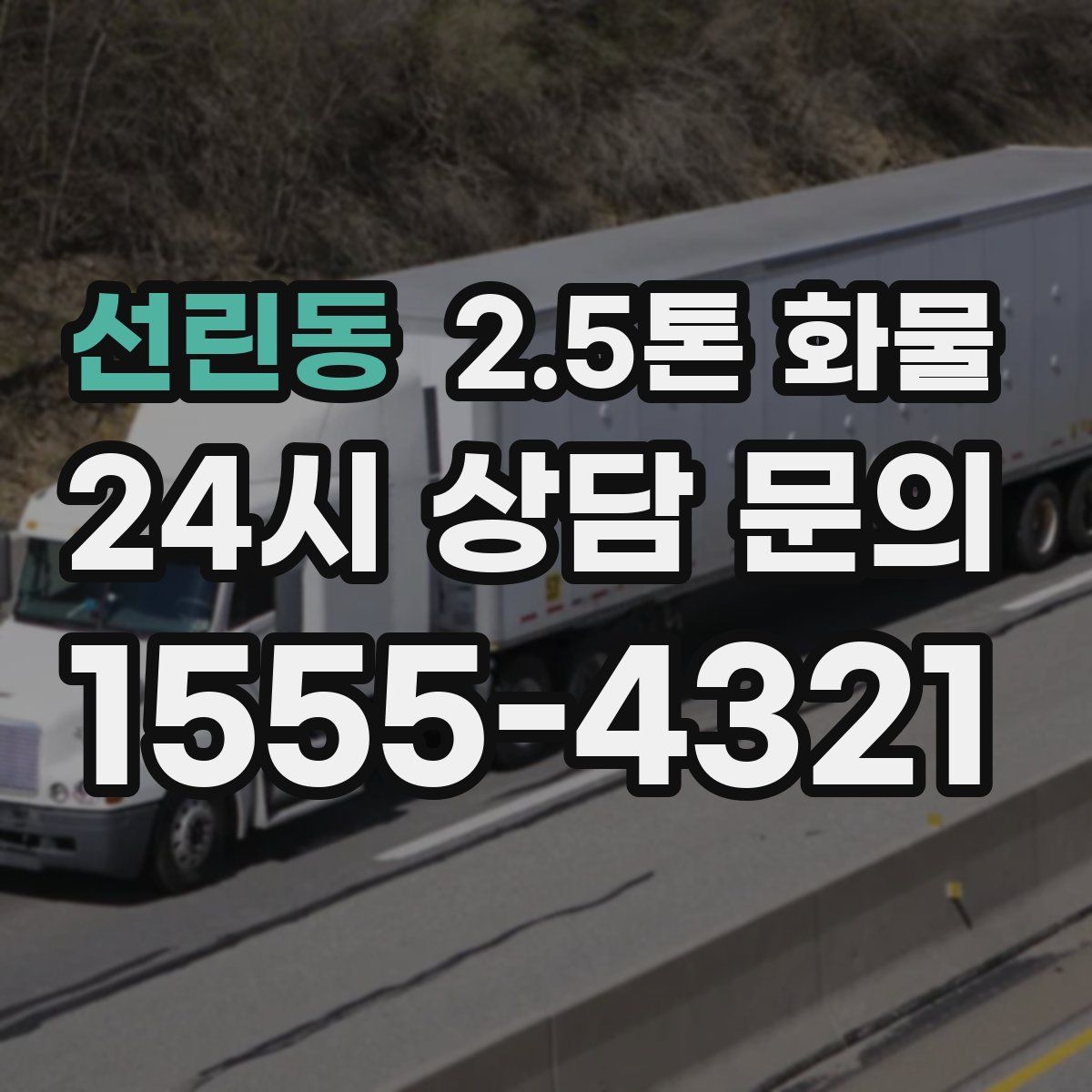 선린동 2.5톤 화물