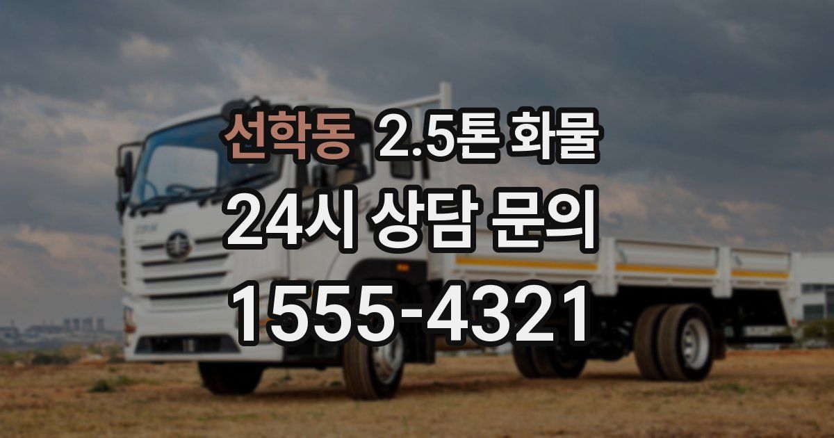 선학동 2.5톤 화물