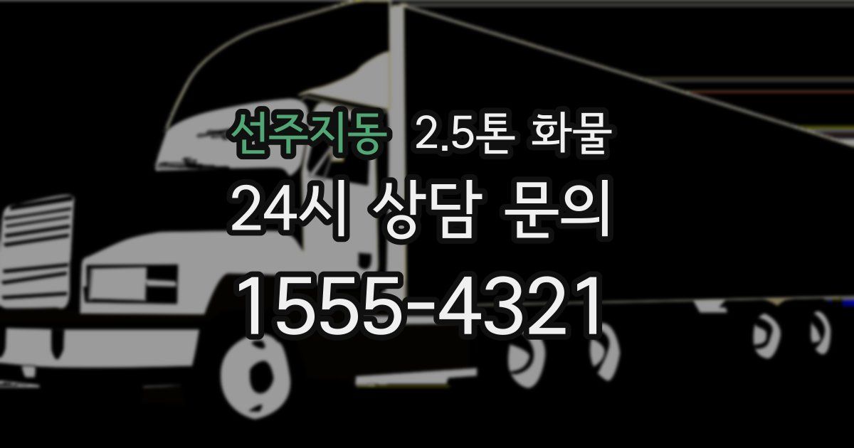 선주지동 2.5톤 화물