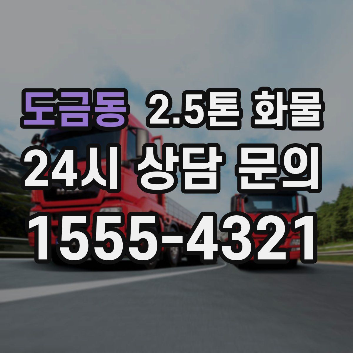 도금동 2.5톤 화물
