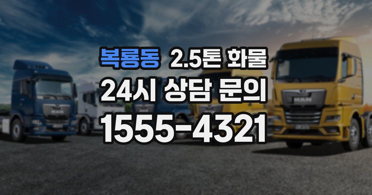 복룡동 2.5톤 화물