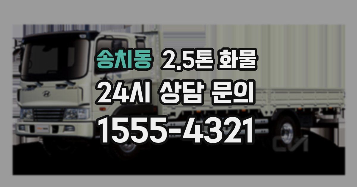 송치동 2.5톤 화물