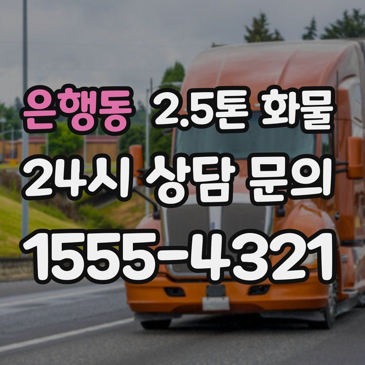 은행동 2.5톤 화물
