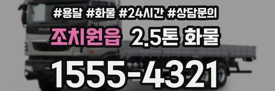 조치원읍 2.5톤 화물