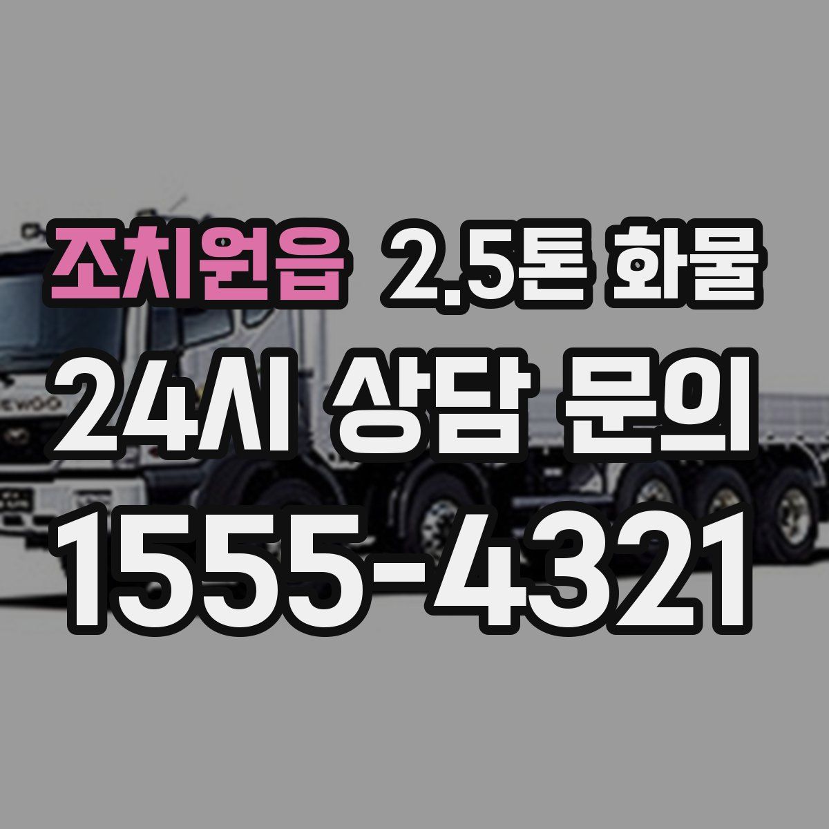 조치원읍 2.5톤 화물