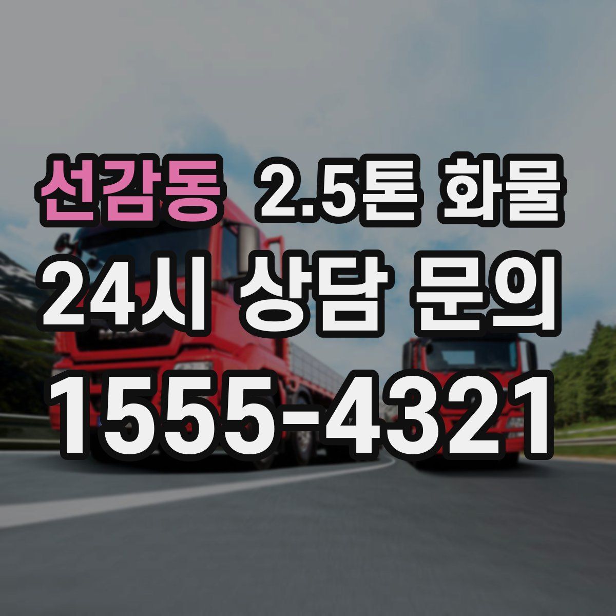 선감동 2.5톤 화물