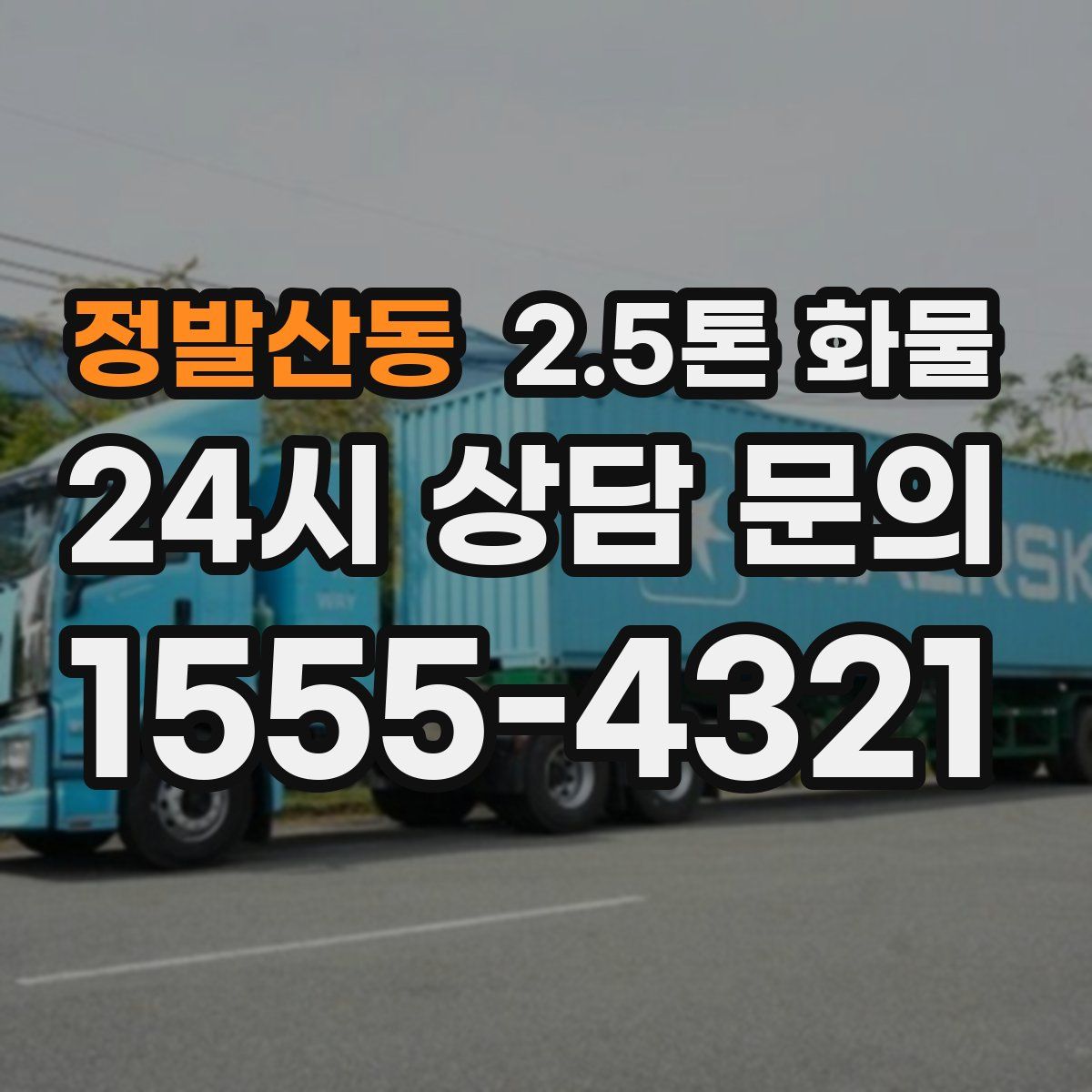 정발산동 2.5톤 화물