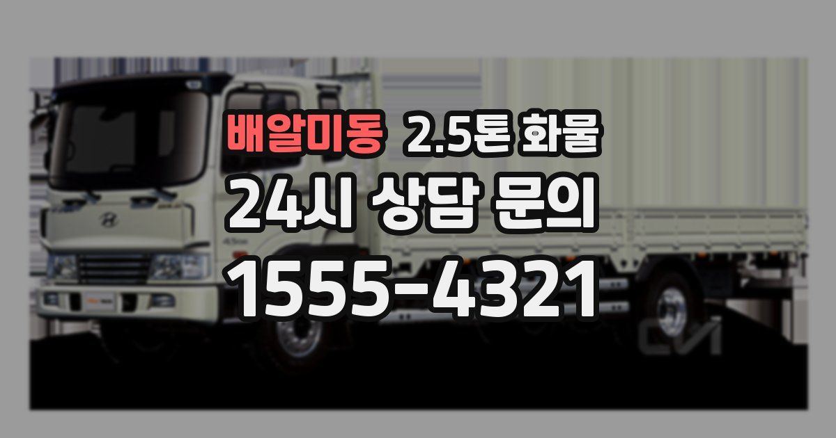 배알미동 2.5톤 화물